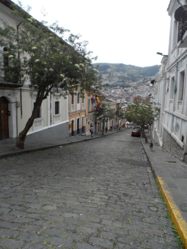 Food & Drinks, Casa Paulina Quito Ecuador, Quito
