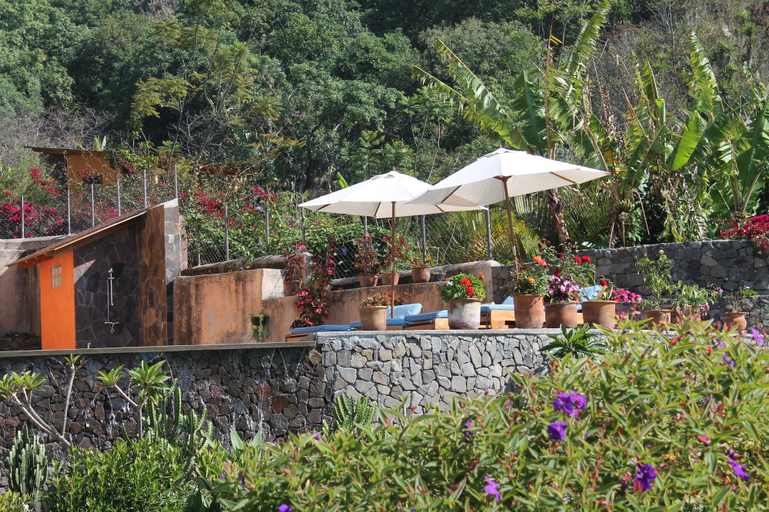 Garden, Casa Valdres, Santa Cruz La Laguna