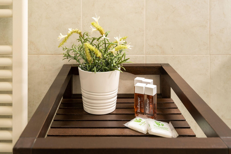 Room 5, Terme Apartment in Firenze, Florence