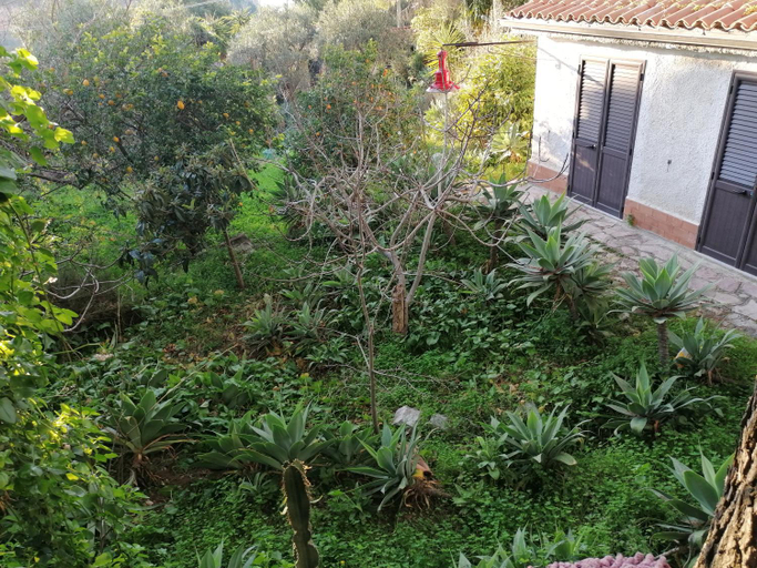 Others 3, Villa Africa, Palermo