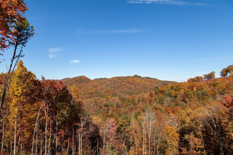 Others 5, Victoria's Secrets 5 Bedroom Cabin by RedAwning, Sevier
