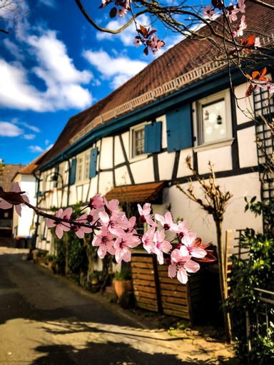 Hexenhauschen Dreieichenhain, Offenbach