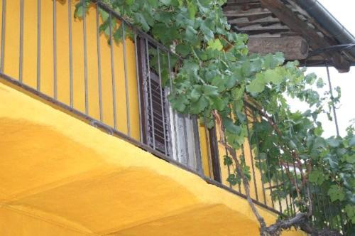 Others 2, B&B Rumanot, Cuneo