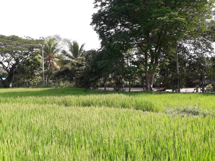Others 4, Hansika Guest Inn, Buttala