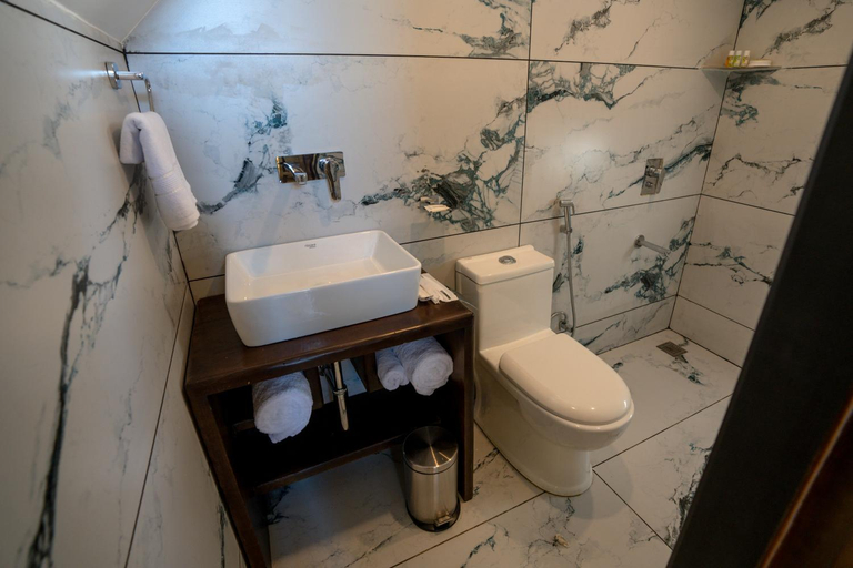Bathroom, Solomons Gray, Baramulla