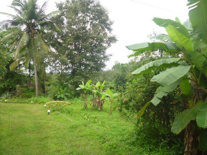 View 2, THE ENCHANTING NEST, North Goa