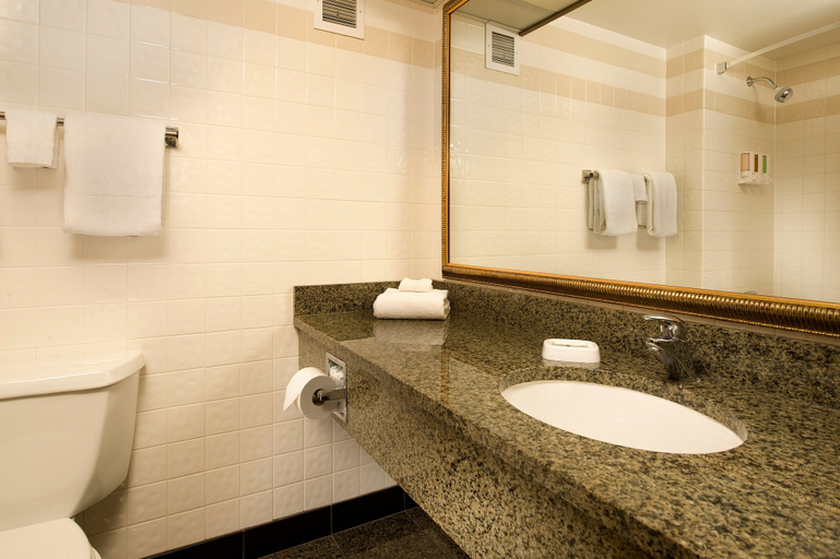Bathroom 4, Drury Inn & Suites Paducah, McCracken