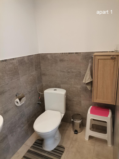 Bathroom 3, Apartament Wolin nad woda kolo Miedzyzdrojow, Kamień