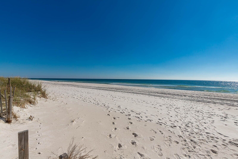 Beach 4, Driftwood Towers 6d 2 Bedroom Condo, Baldwin