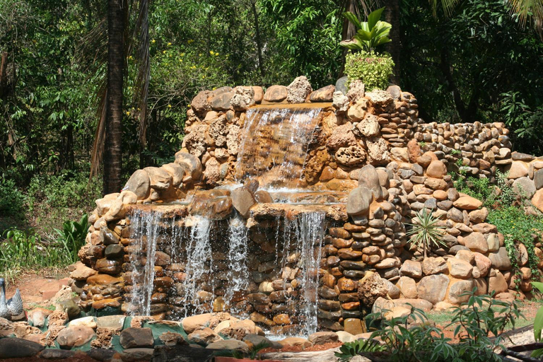 Surrounding environment 4, THE ENCHANTING NEST, North Goa