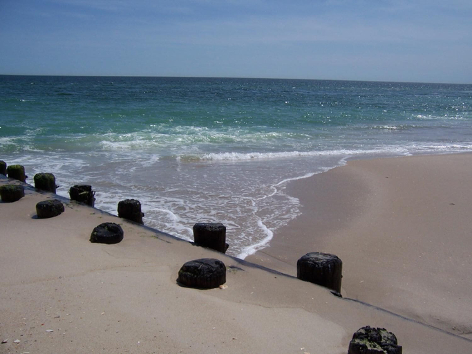 Others 5, Sea Horse Motel, Ocean