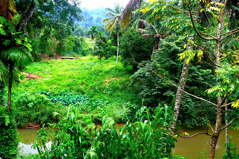 Others 2, Rainforest River Bay, Kotapola