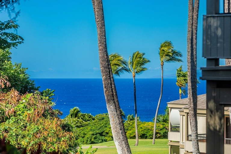 Exterior & Views 2, Wailea Ekolu 1603 2 Bedroom Condo, Maui
