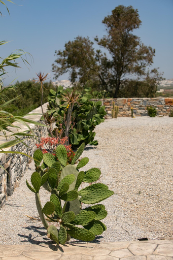 Room 4, Rocks Naxian Villa With Private Pool, South Aegean