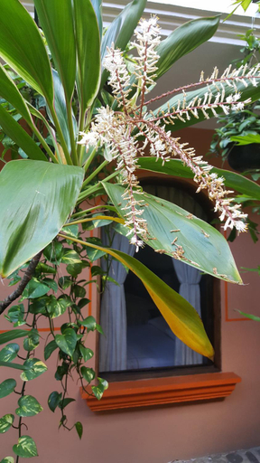 Others 4, Hotel Posada San Jeronimo, Xico