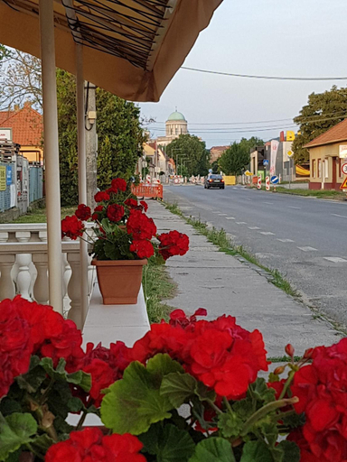 Others 4, Penzion KORMOS, Nové Zámky