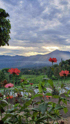 Exterior & Views 4, Villa Lumbung Salak, Bogor
