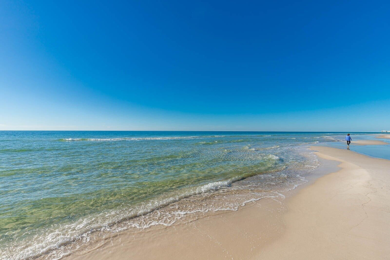 Beach 3, Phoenix Orange Beach Ii 503 2 Bedroom Condo, Baldwin