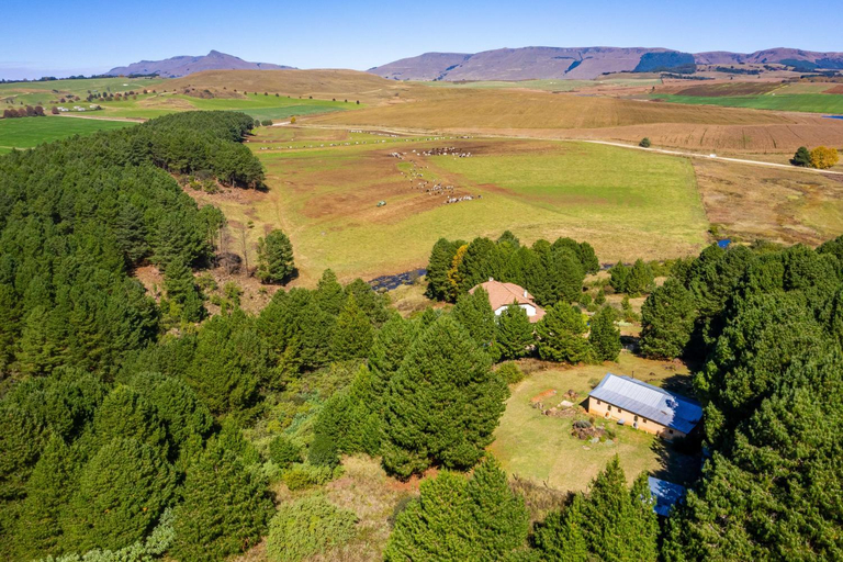 Others 2, Falling Waters, Umgungundlovu