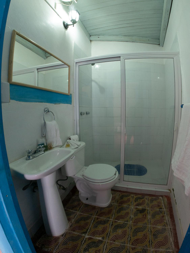 Bathroom 2, Alonso53, Guanajuato