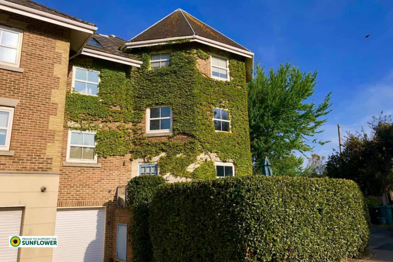 Exterior & Views 2, Solent Landing No 16 Beach Retreat, Isle of Wight