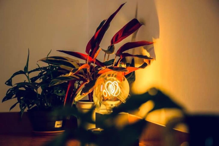 Food & Drinks, Casa Oscar: Entire apartment Venice.Mestre station, Venezia
