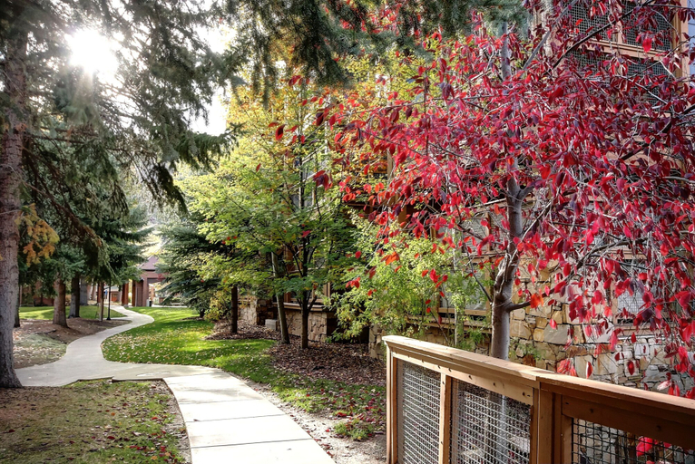 Property grounds 3, Park Station 140 2 Bedroom Condo by RedAwning, Summit