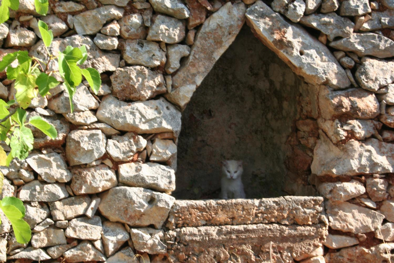 Others 5, Casa Eduardo, Brindisi