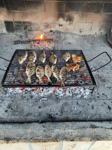 Food & Drinks 4, Apartmani Opg Dragoslavic, Pag