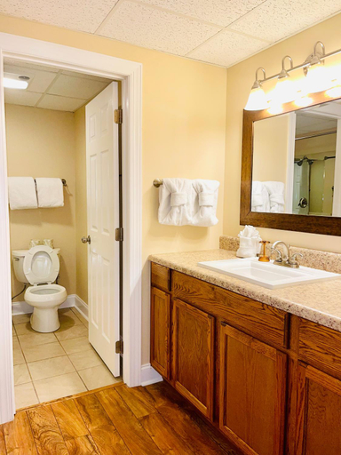 Bathroom 3, River Place Condos #204 2BD, Sevier