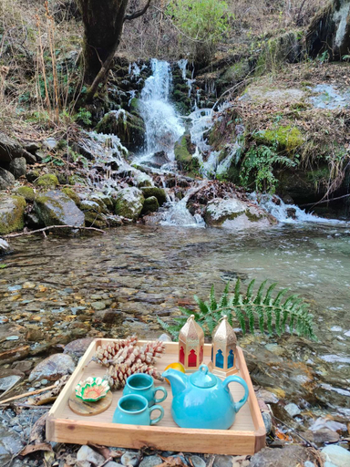 Food & Drinks, Mud Stays, Uttarkashi