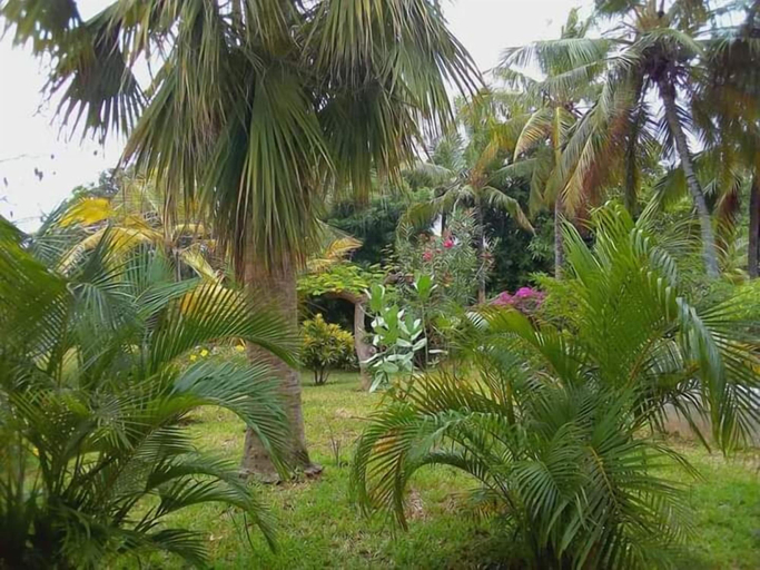 Others 4, Mwezi Nyota, Malindi