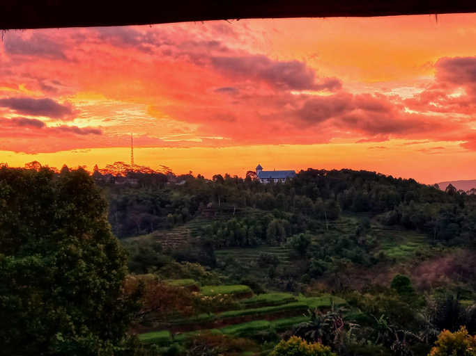 Others 5, Sun Rice Homestay, Manggarai