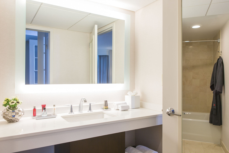 Bathroom 5, Homewood Suites by Hilton Downers Grove Chicago, Dupage