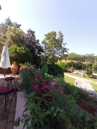 Others 5, The Olive Grove Roma Guest House, Roma