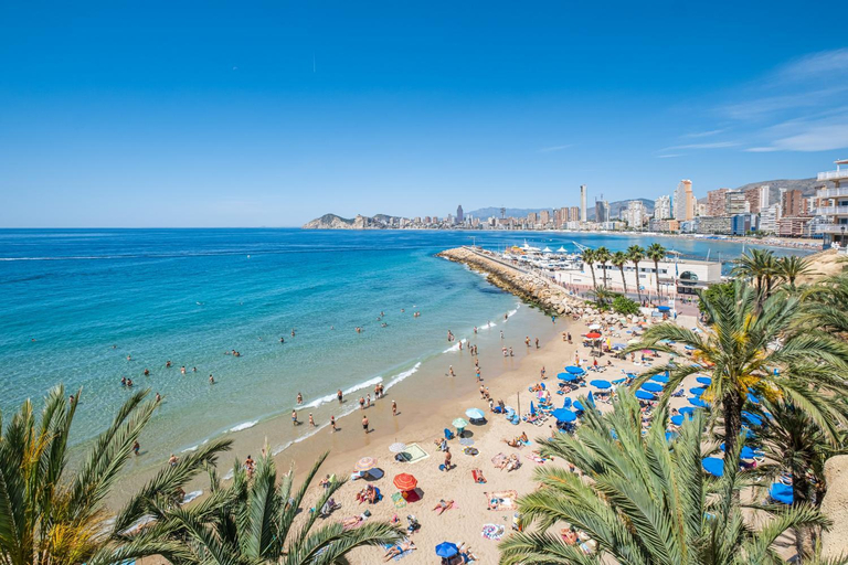 Others 5, Apartamentos La Rosita Old Town, Alicante