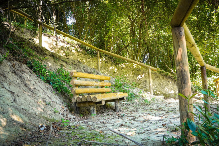 Others 5, 1870 Bed & Breakfast, Frosinone
