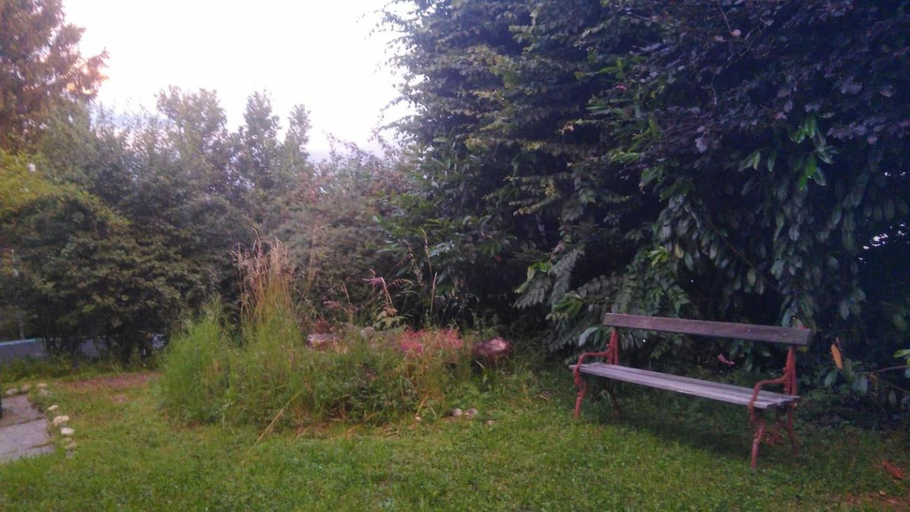 Exterior & Views 5, Garden room - view of nature, Biel