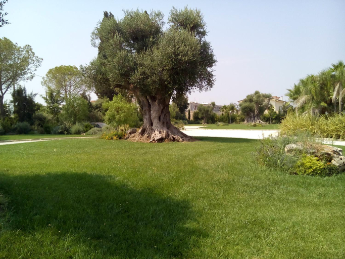 Others 5, Relais Marchesi Imperiali B&b, Brindisi