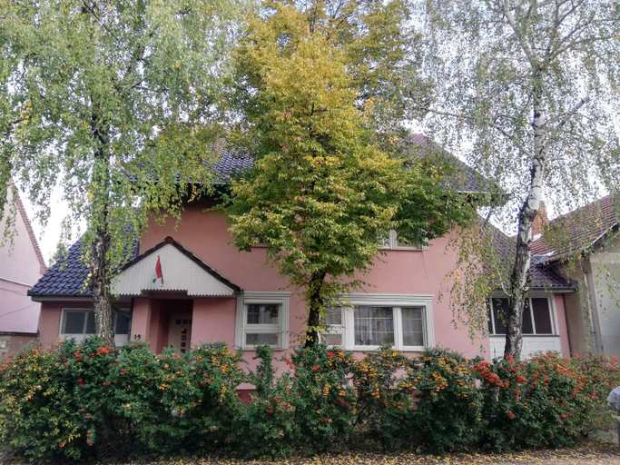 Others 4, Balogh vendeghaz, Szeged