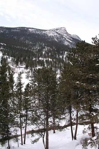 Others 5, Fawn Valley Inn: 279 3 Bedroom Condo, Larimer