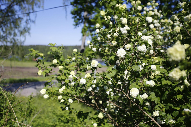 Others 4, Semesterhemmet Sommarro, Lilla Edet
