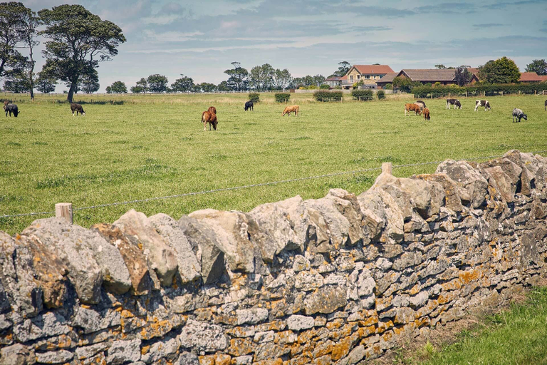 Others 5, Host Stay Cheviot View, Northumberland