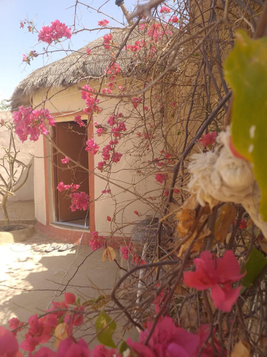 Others 3, Subhadra ecolodge, Jalor