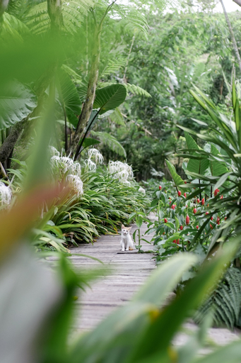 Scenery 6
