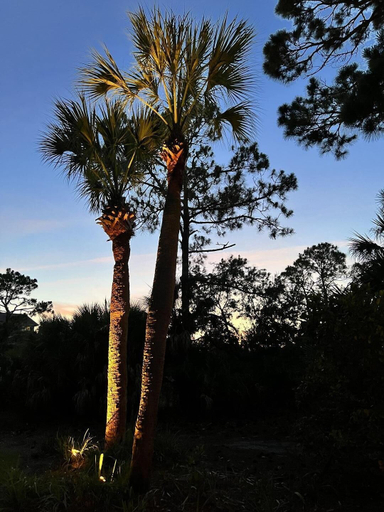 Others 5, 803 Sea Bass Dr, Beaufort
