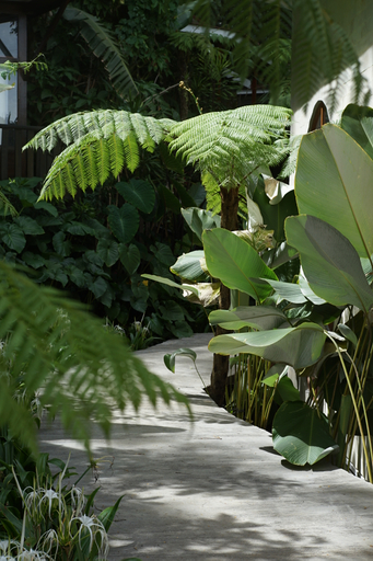 Scenery 4