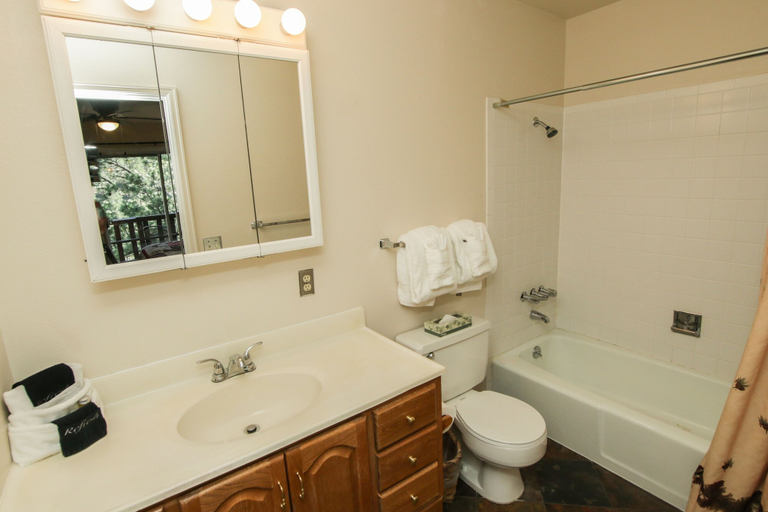 Bathroom, Fawn Valley Inn: 293 1 Bedroom Condo, Larimer