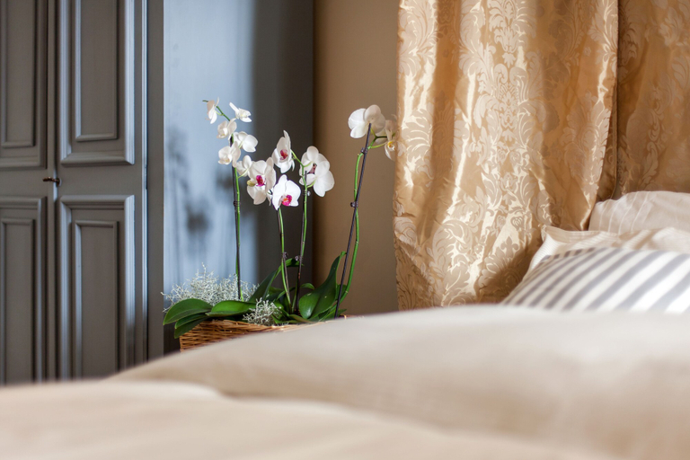 Room 2, Camino Home, Cluj-napoca
