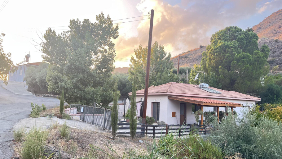 Primary image